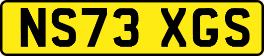 NS73XGS