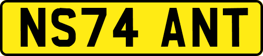 NS74ANT