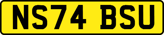 NS74BSU