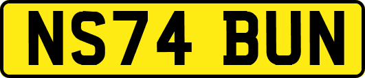 NS74BUN