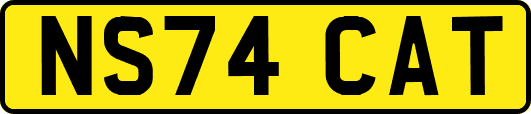 NS74CAT