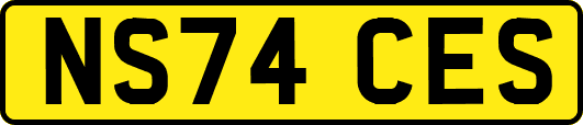 NS74CES
