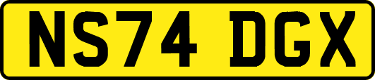 NS74DGX