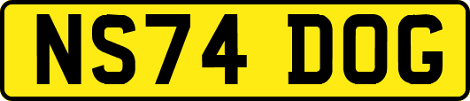 NS74DOG