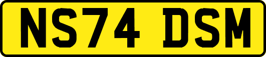 NS74DSM