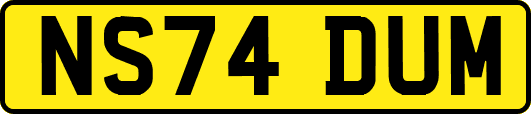 NS74DUM
