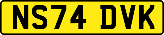 NS74DVK