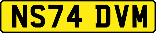 NS74DVM