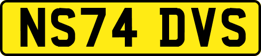 NS74DVS