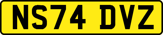 NS74DVZ