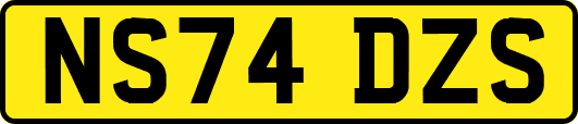 NS74DZS
