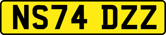 NS74DZZ