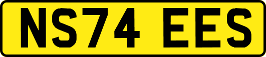NS74EES