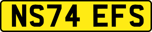 NS74EFS