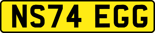 NS74EGG