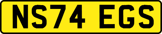 NS74EGS