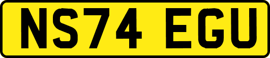 NS74EGU