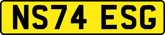 NS74ESG