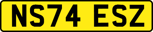 NS74ESZ