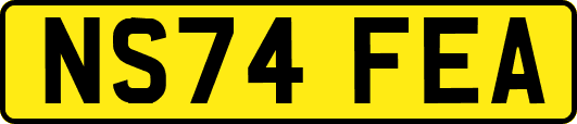 NS74FEA