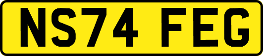 NS74FEG