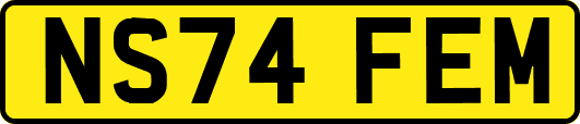 NS74FEM