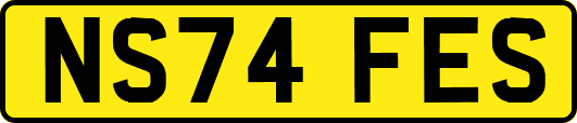 NS74FES