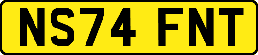 NS74FNT