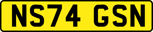 NS74GSN