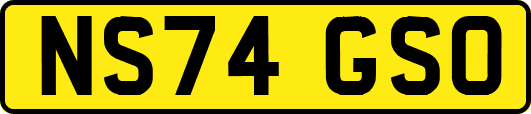 NS74GSO