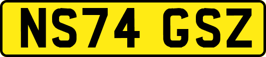 NS74GSZ