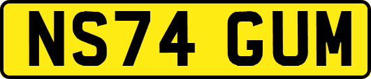 NS74GUM