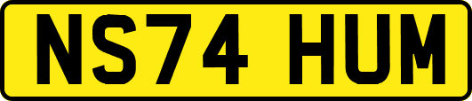 NS74HUM
