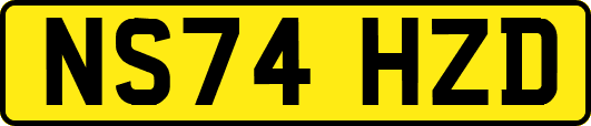 NS74HZD