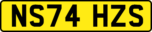 NS74HZS