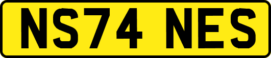 NS74NES