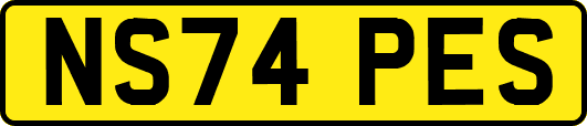 NS74PES