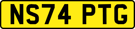 NS74PTG