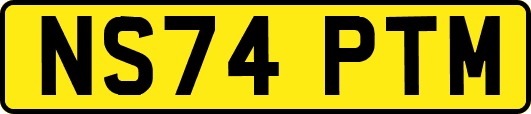 NS74PTM