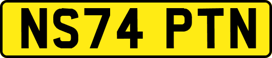 NS74PTN