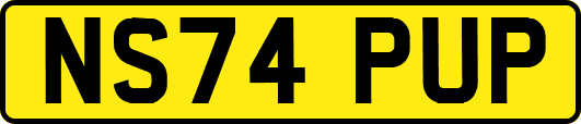 NS74PUP
