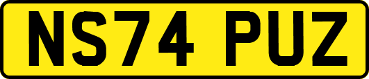 NS74PUZ