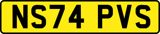NS74PVS