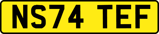 NS74TEF