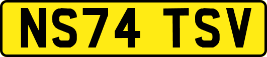 NS74TSV