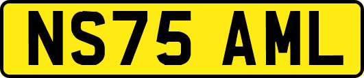 NS75AML