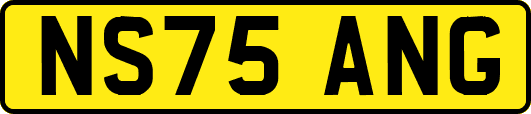 NS75ANG
