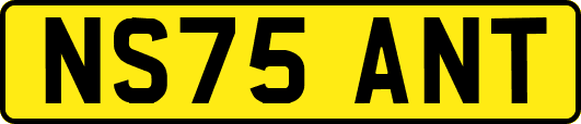 NS75ANT
