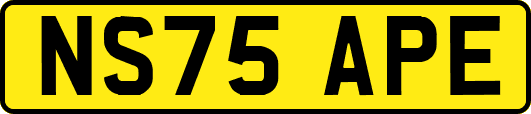 NS75APE