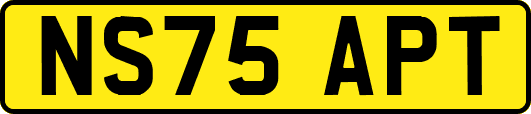 NS75APT